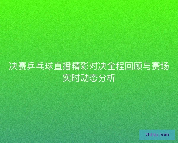 决赛乒乓球直播精彩对决全程回顾与赛场实时动态分析