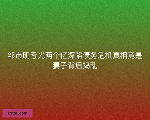 邹市明亏光两个亿深陷债务危机真相竟是妻子背后捣乱